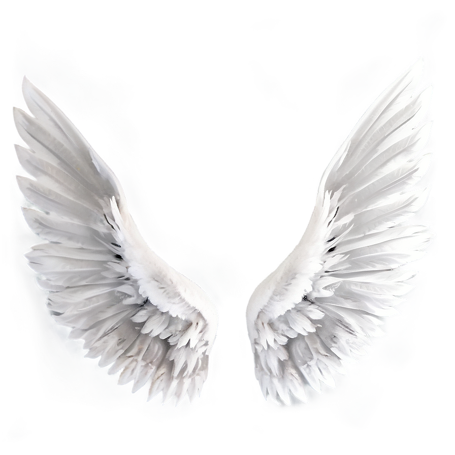 Graceful White Wings Png 95