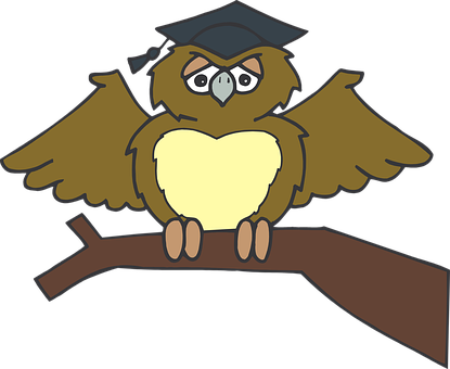 Graduate Owl Cartoon PNG with transparent background