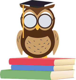 Graduate Owlon Books PNG with transparent background