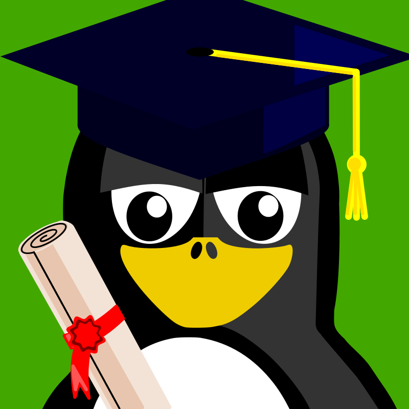 Graduated Penguin Cartoon PNG with transparent background