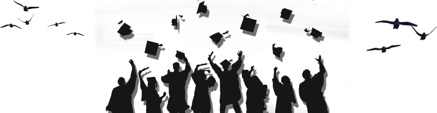 Ics International School Christmas Party For K & P - Shadow People Png Party, Transparent Png PNG with transparent background