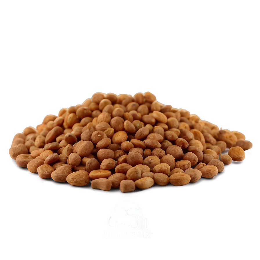 Grain-inclusive Dog Food Png 05252024