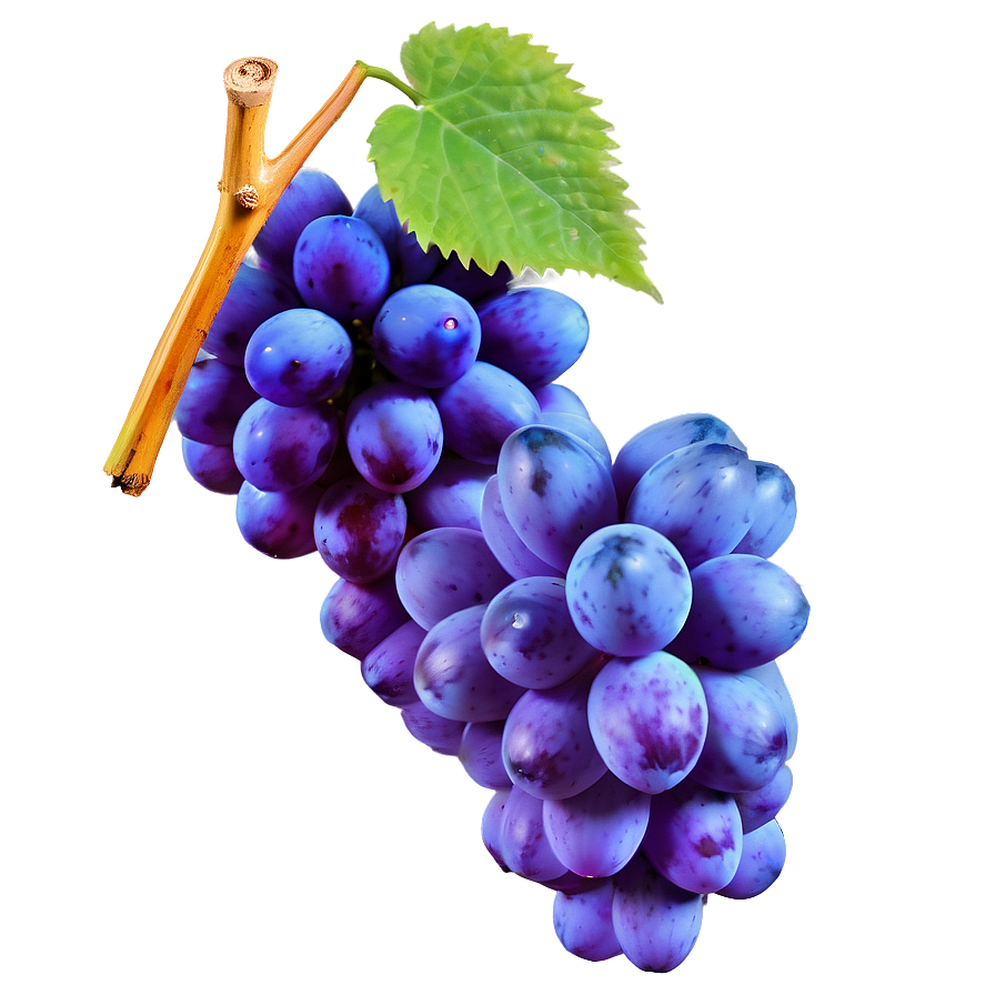 Grape Alone Png Alu36