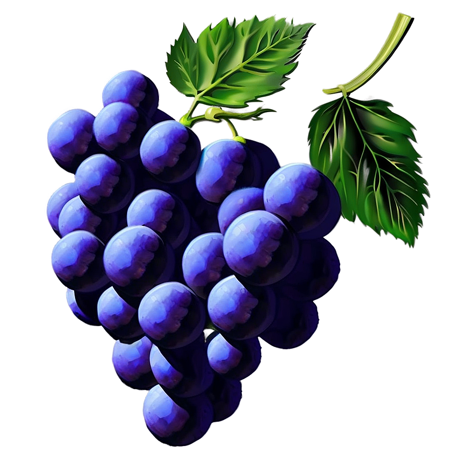 Grape Art Png Txy