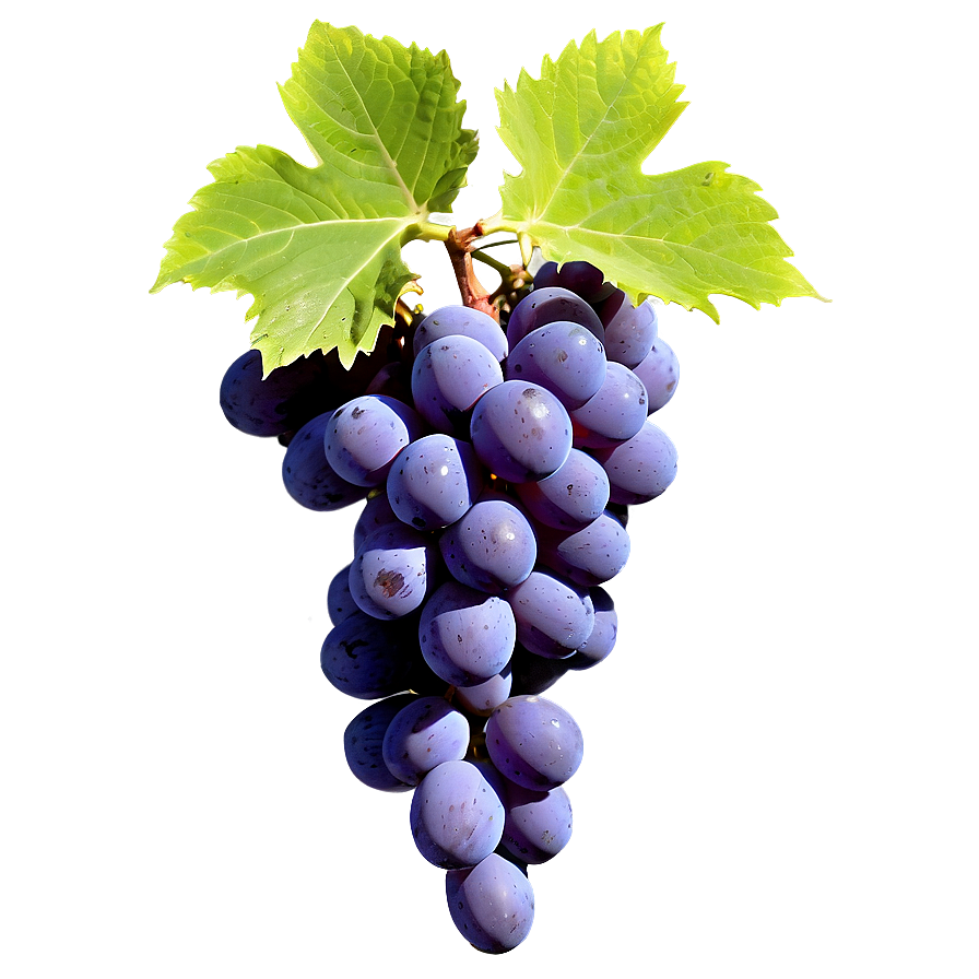 Grape Background Png Jcj85