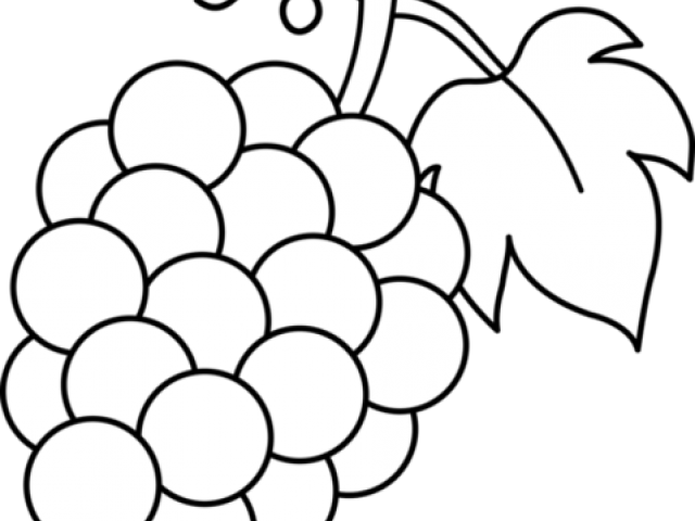 Grape Clipart Fruite - Black And White Grape Clipart, HD Png Download PNG with transparent background