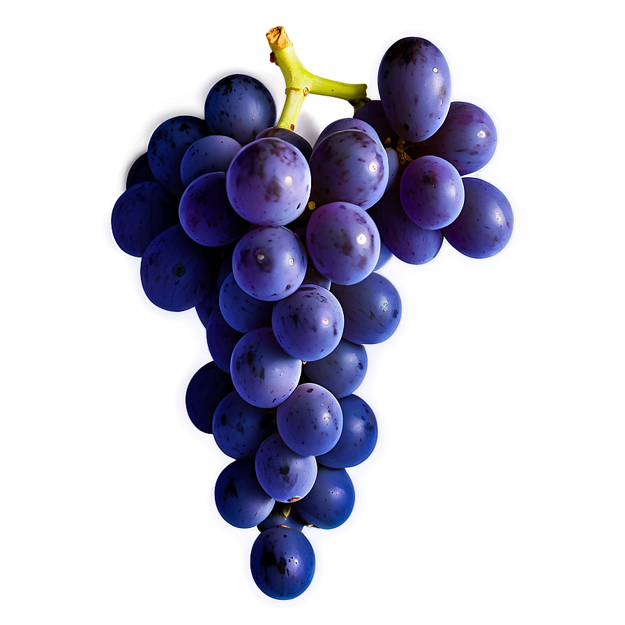 Grape Logo Png Xyl