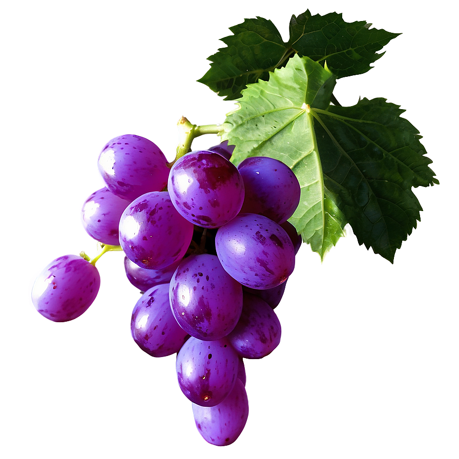 Grape Outline Png 4