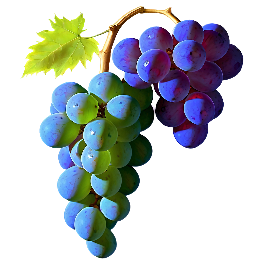 Grape Outline Png Rhy17