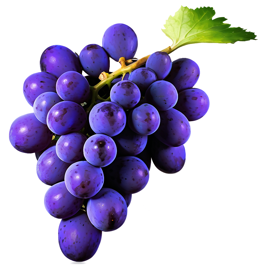 Grape Texture Showcase Png Wrs40