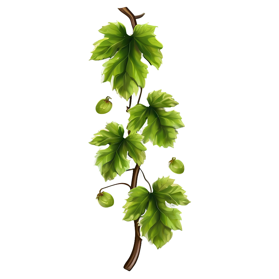 Grape Vine Border Png 67