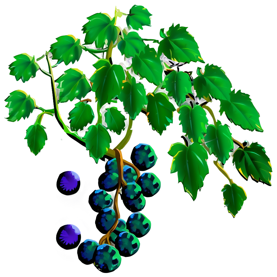 Grape Vine Png 89