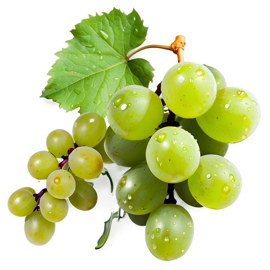 Grape With Dew Png Hqc93