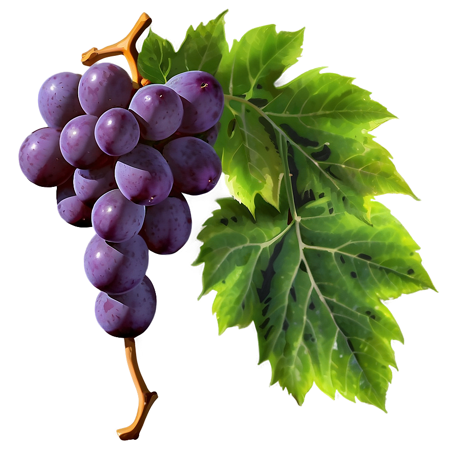 Grape With Leaf Png Ufm