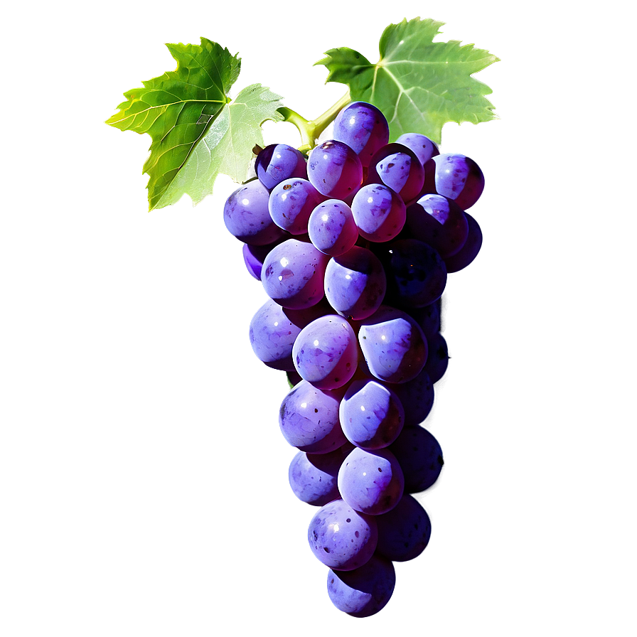 Grape With Shadow Png 06292024