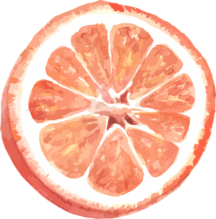 Grapefruit, Citrus, Vector, Watercolor, Incision - Grapefruit Pun, HD Png Download PNG with transparent background