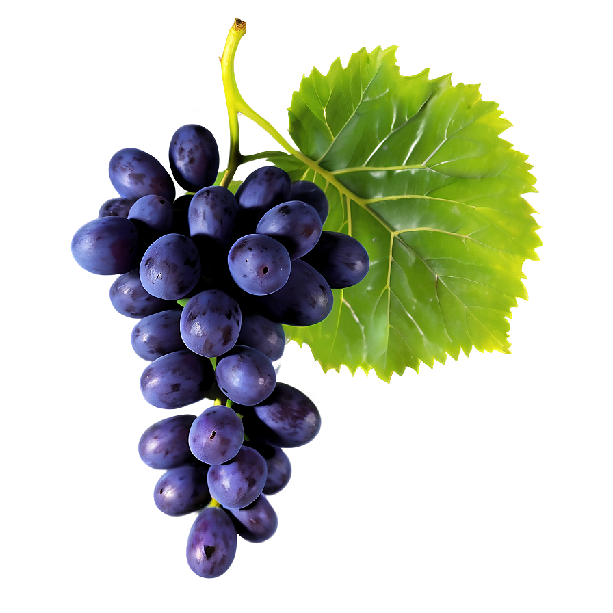 Grapes And Leaves Png 78