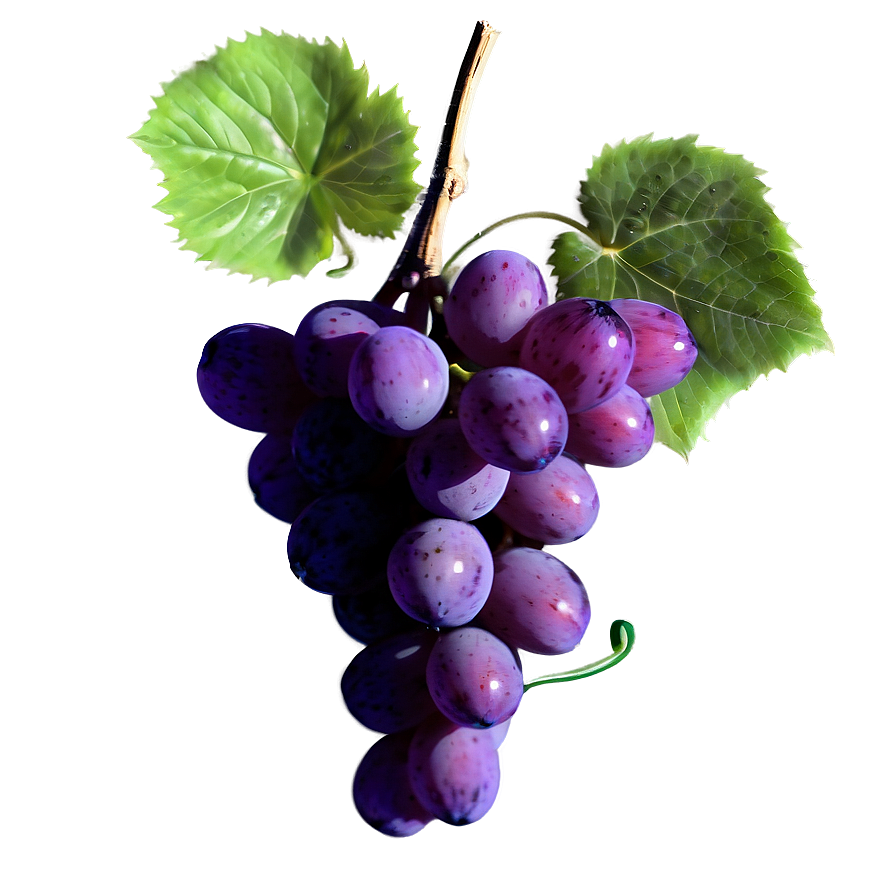 Grapes Art Png Rae