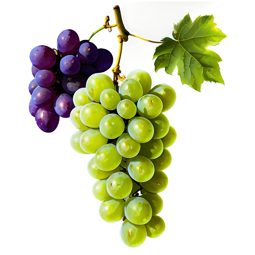 Grapes Background Png Udt77