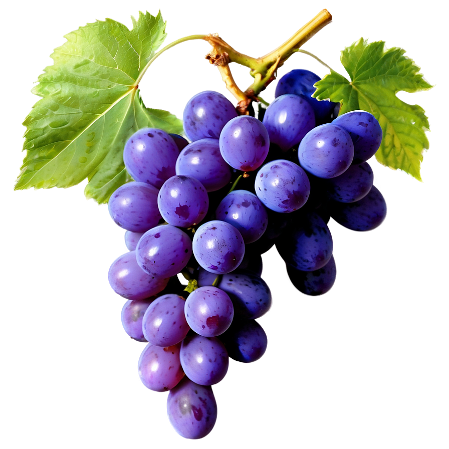 Grapes Branch Png 59