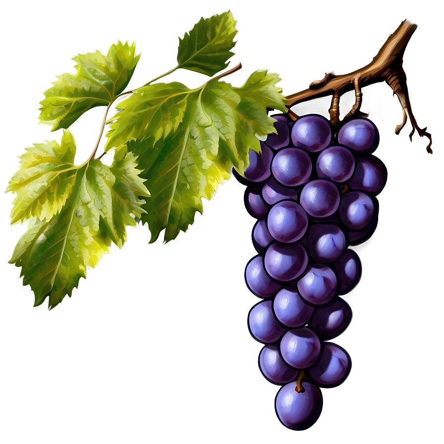 Grapes Branch Png Nnq