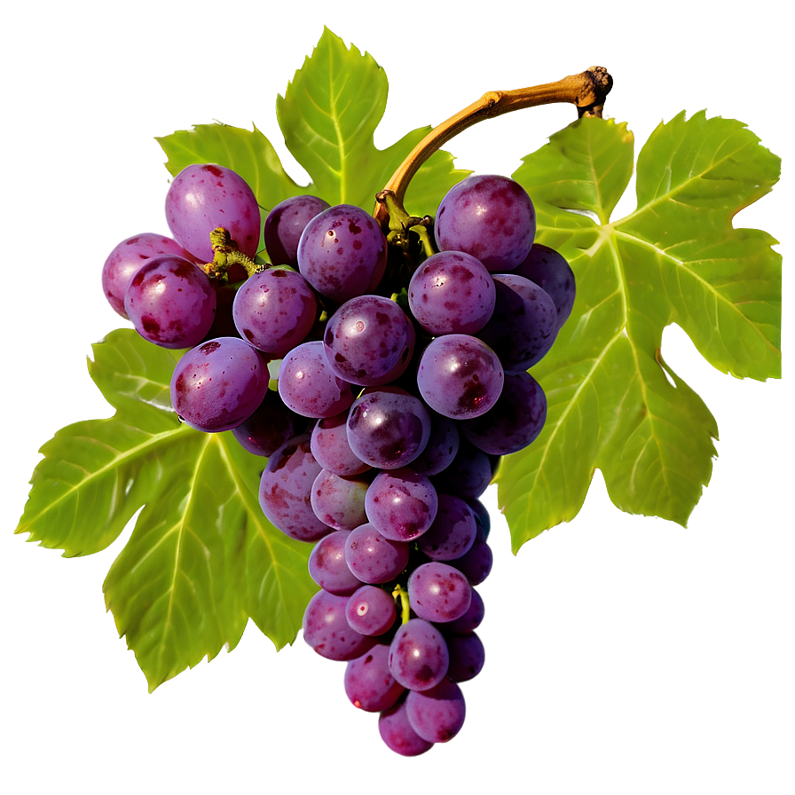 Grapes Cluster Png 05242024