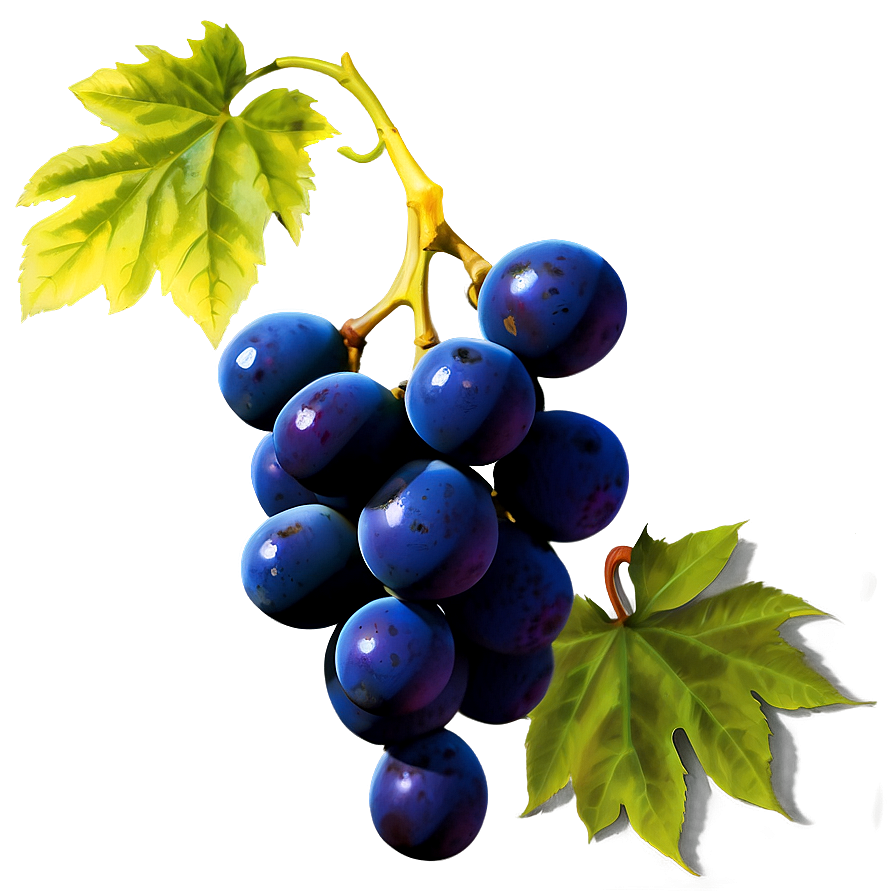 Grapes Cluster Png Rfp