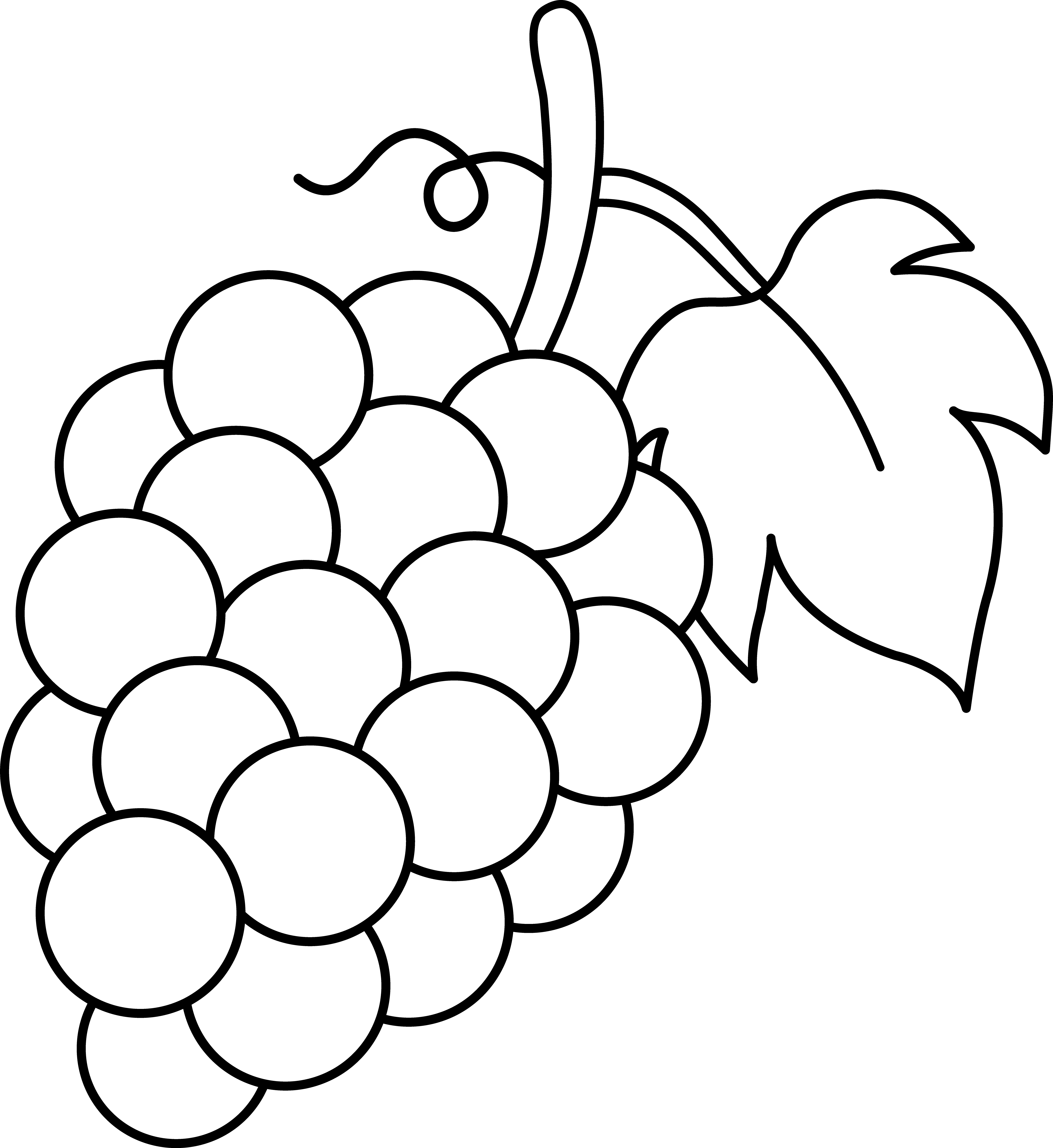Grapes Coloring Pages, HD Png Download PNG with transparent background