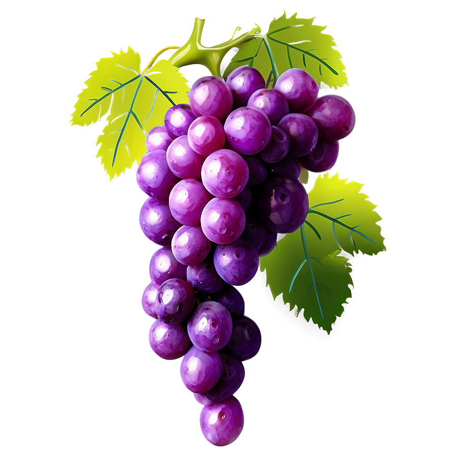 Grapes Decoration Png Lkr