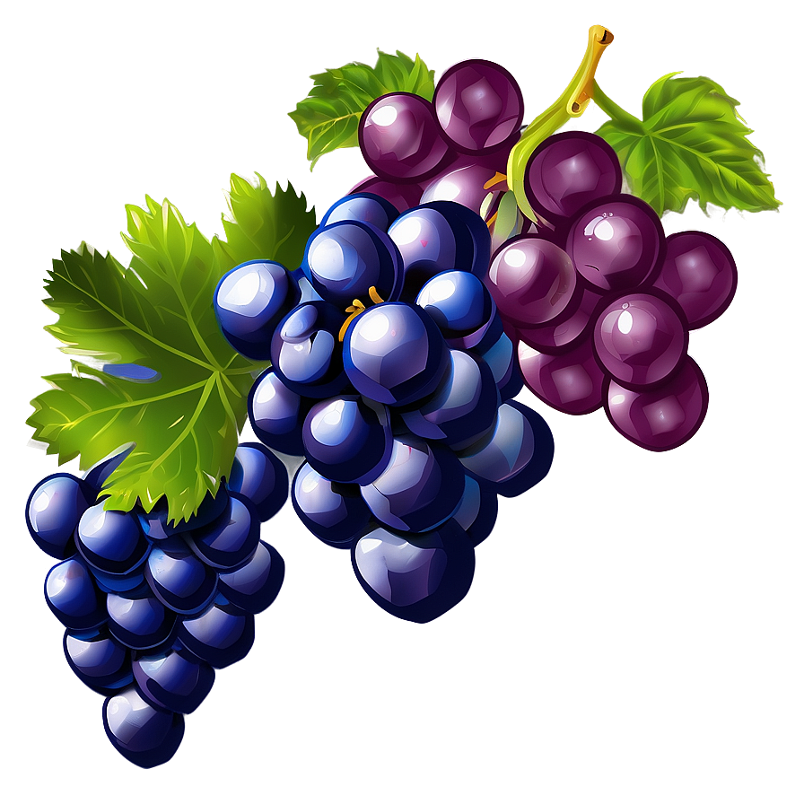 Grapes Drawing Png 05242024