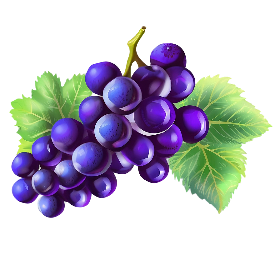 Grapes Drawing Png 05242024