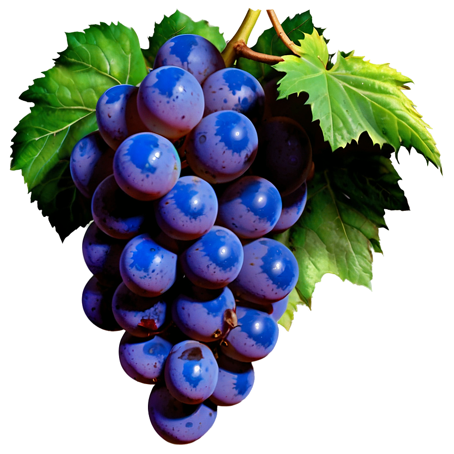 Grapes Emoji Png 4