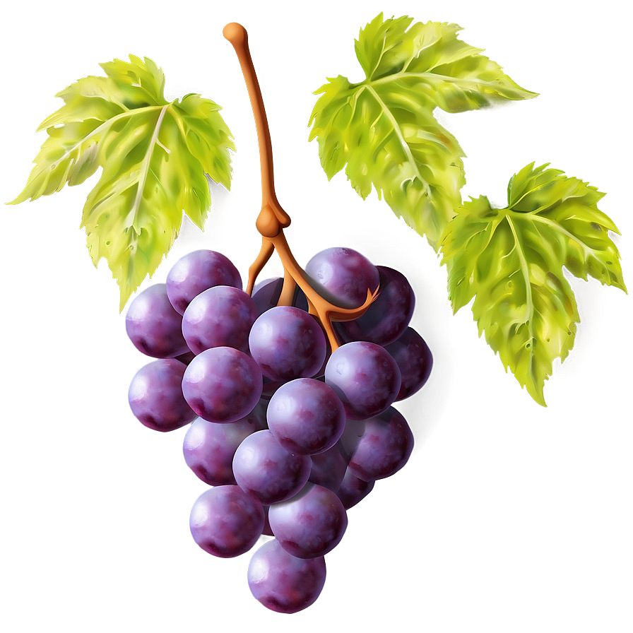 Grapes Frame Png 05242024