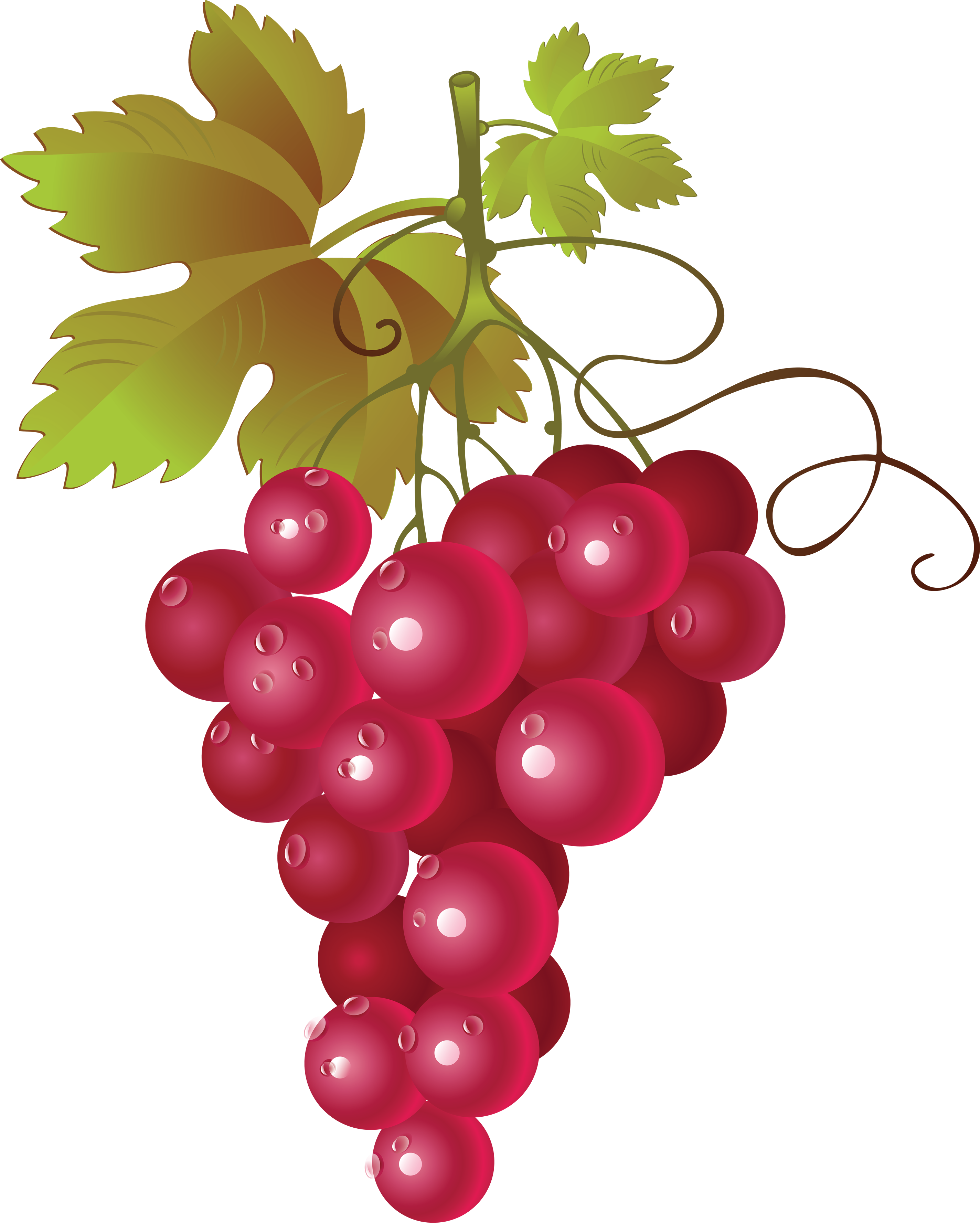 Grapes Image Png Clipart - Red Grapes Vector Png, Transparent Png PNG with transparent background
