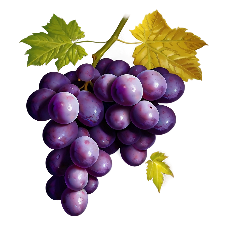 Grapes Logo Png 05242024