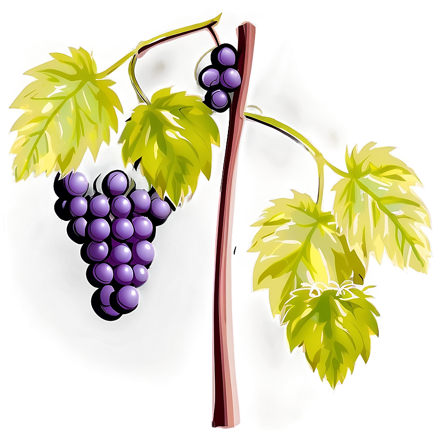 Grapes On Vine Png 05212024