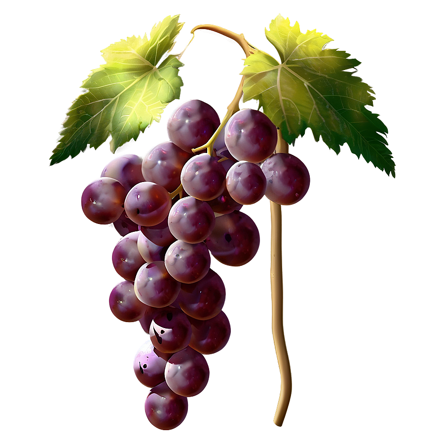 Grapes On Vine Png 05242024