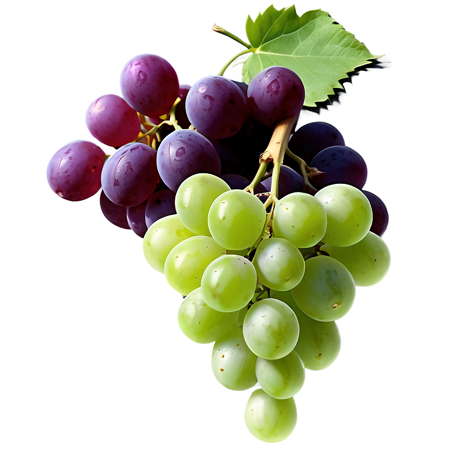 Grapes Outline Png 05242024