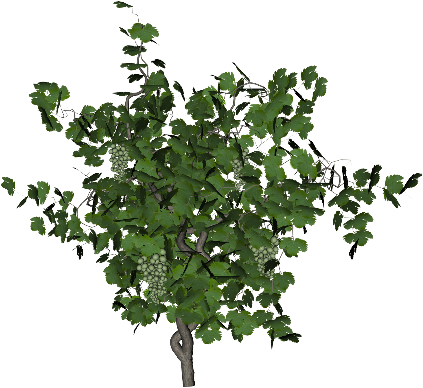 Free Icons Png, Transparent Png PNG with transparent background