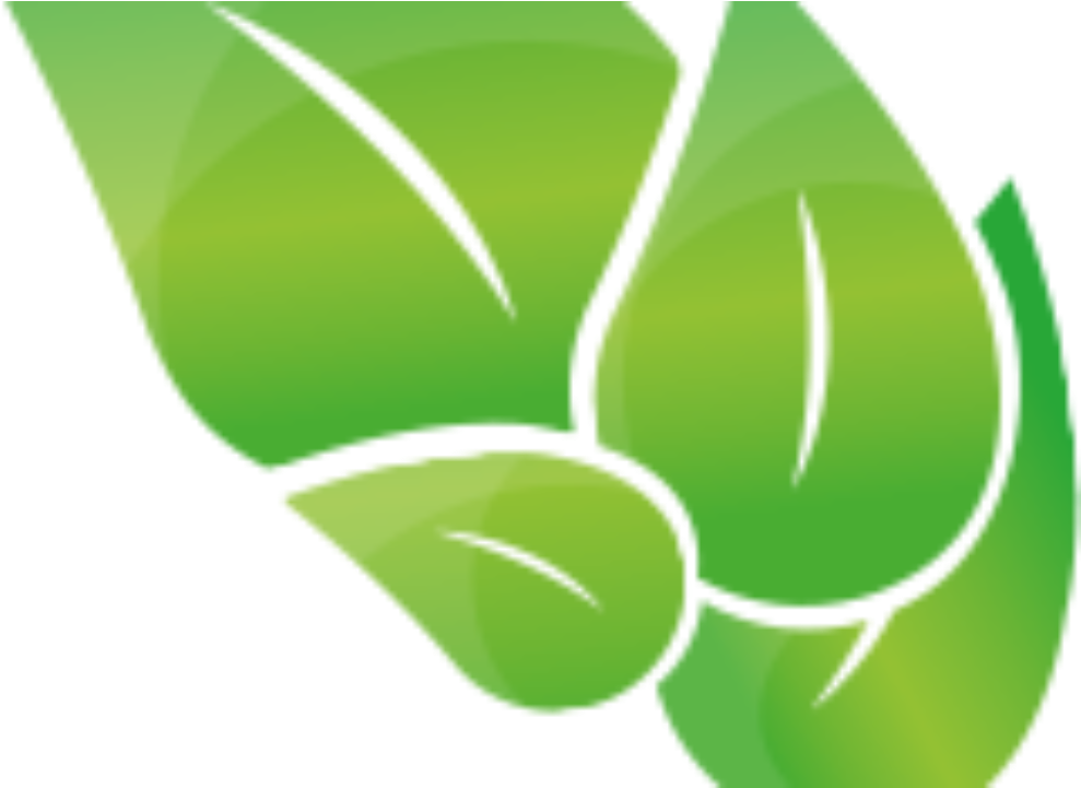 Graphic Design, HD Png Download PNG with transparent background