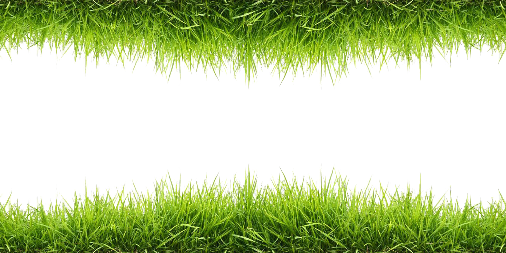 Grass_ Borders_on_ Gray_ Background.png