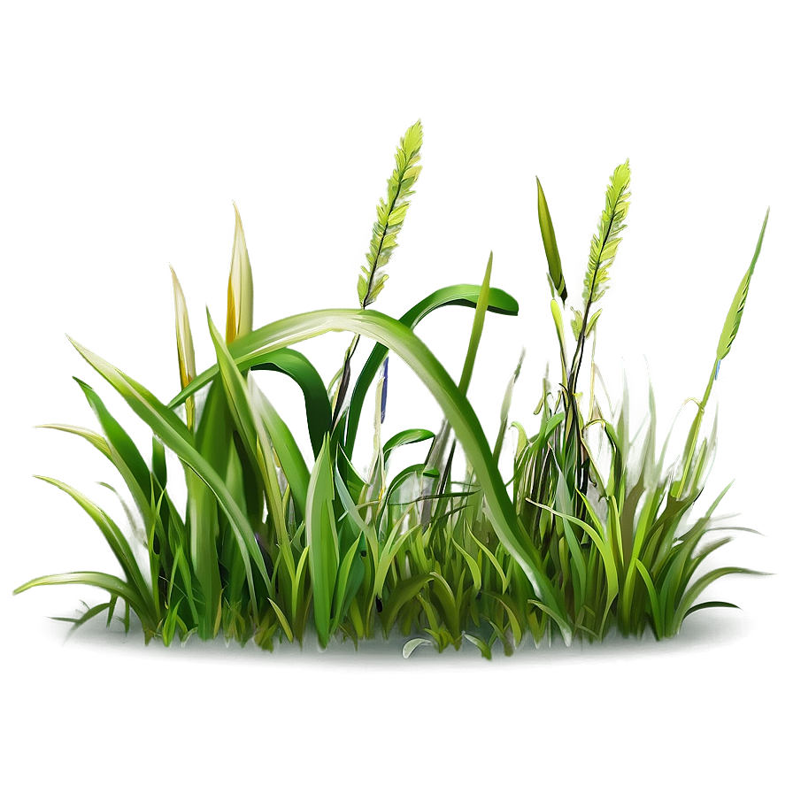 Grass Clipart Edition Png Tke