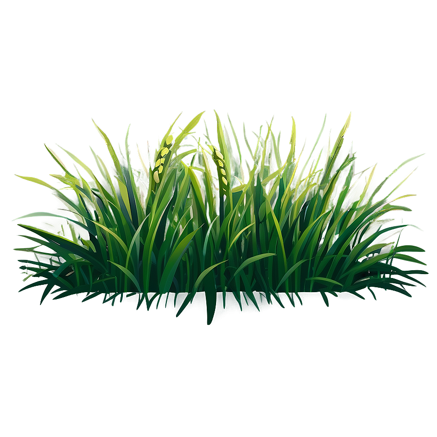 Grass Clipart Png 06272024