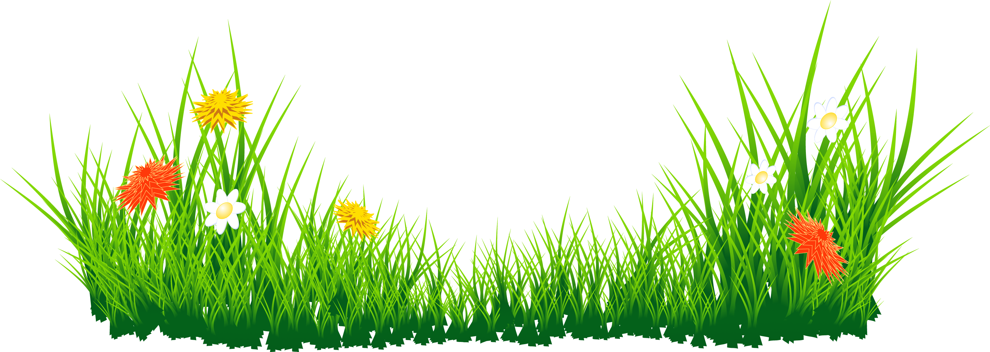 Grass_and_ Wildflowers_ Vector PNG with transparent background
