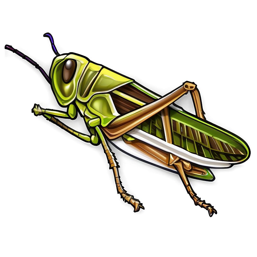 Grasshopper Sketch Png 06122024