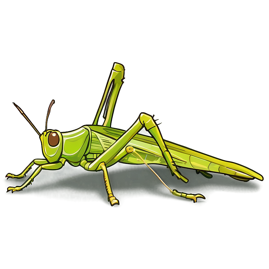 Grasshopper Sketch Png 37