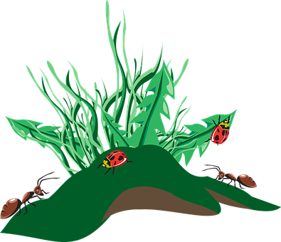 Grassland Insects Vector Illustration PNG with transparent background