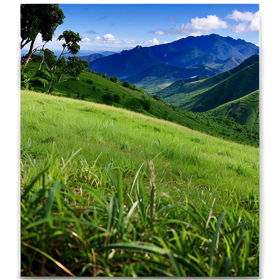 Grassy Hilltop View Png 29