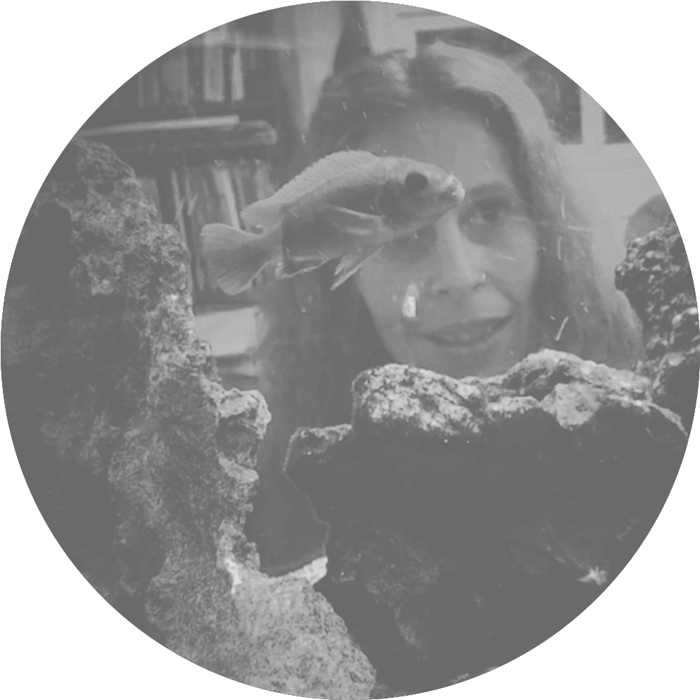 Gray Dot Image Png, Transparent Png PNG with transparent background