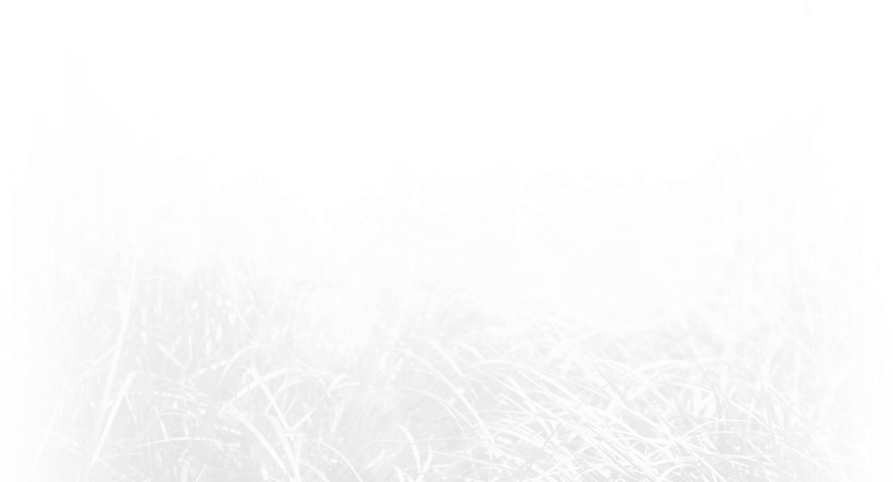 Grayscale Grass Field Texture